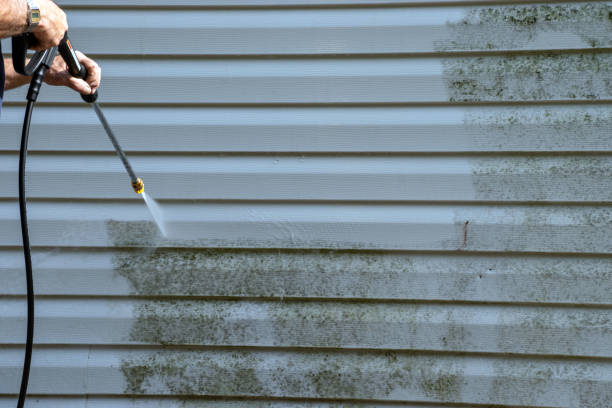 Best Property Management Cleanouts  in West St Paul, MN